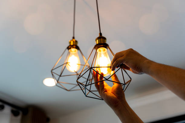 Best Industrial Electrical Services  in Duluth, WA